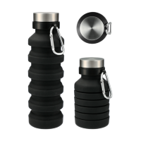 Zigoo Silicone Collapsible Bottle (18 oz)