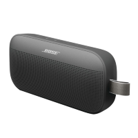 Bose Flex 2 Bluetooth Speaker