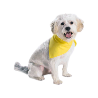 Doggie Bandana